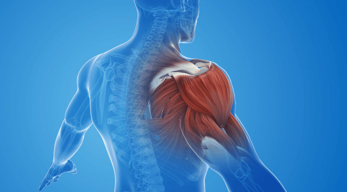 Reverse Shoulder Replacement Surgery: A Comprehensive Overview