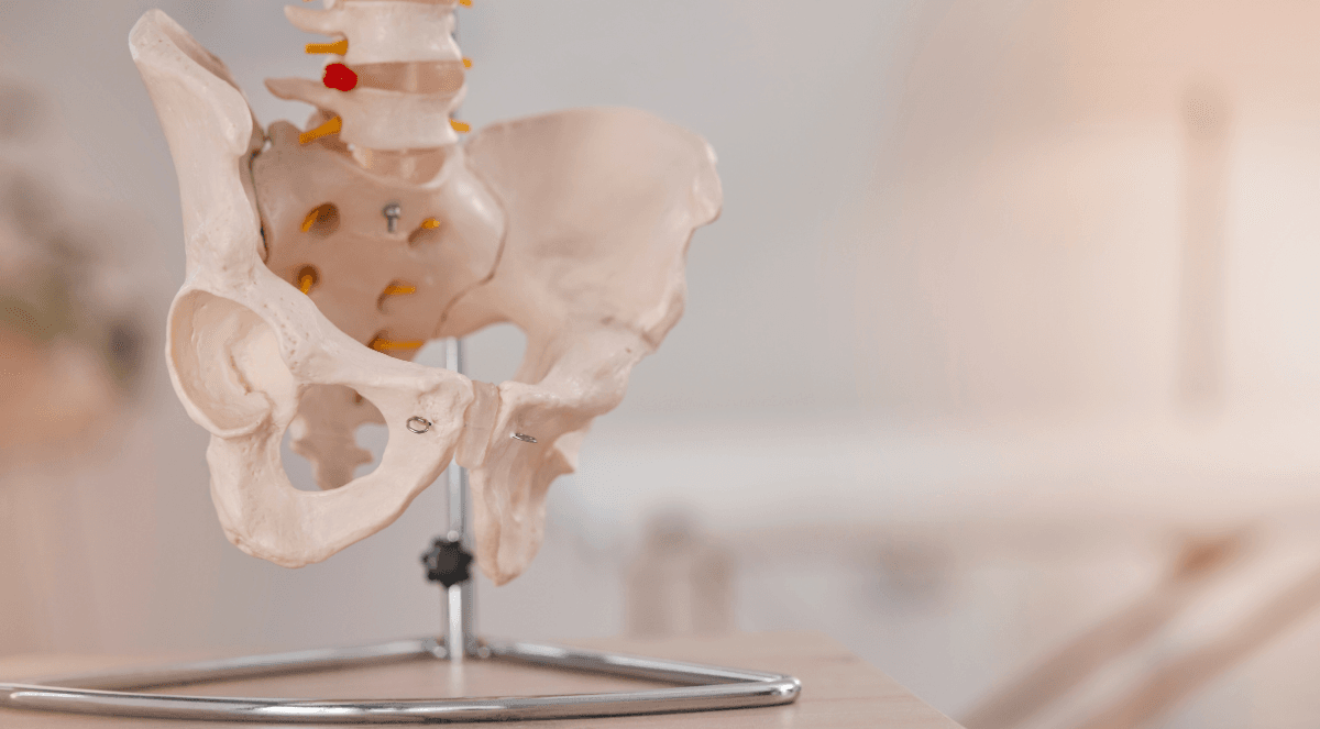 How to Maintain a Healthy Hip After Replacement Surgery: Essential Tips for Recovery and Long-Term Care