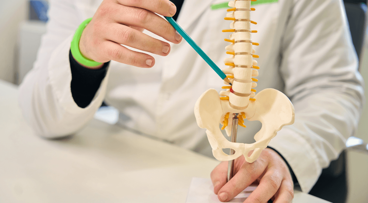 What Causes a Herniated Disk: Main Factors & Risks Explained