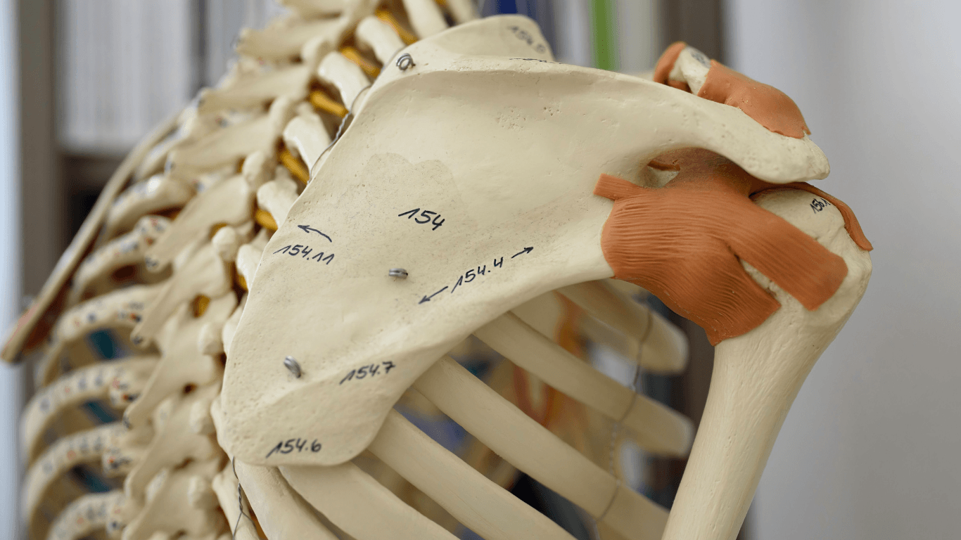 Shoulder Arthroscopy to Improve Mobility