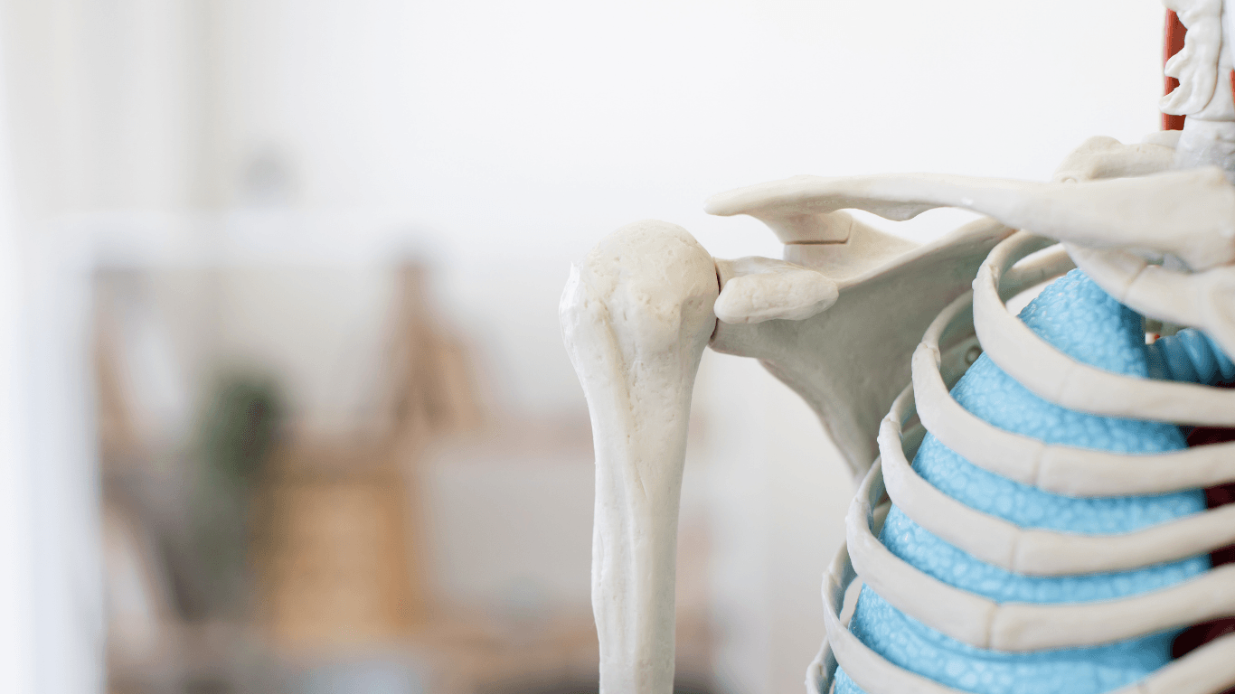 Shoulder Replacement Rehabilitation Exercises for Recovery and Strength